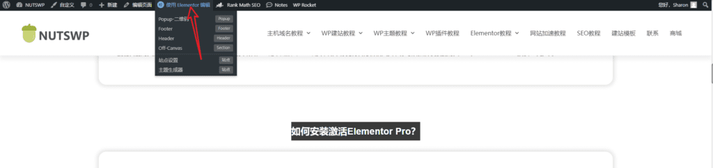 如何使用Elementor页面编辑器编辑WordPress网站内容？