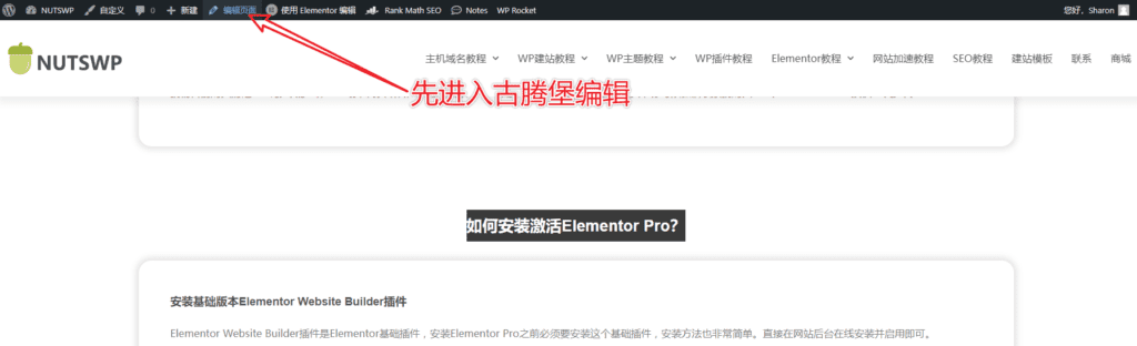image 56 - 如何使用Elementor页面编辑器编辑WordPress网站内容？ - NUTSWP