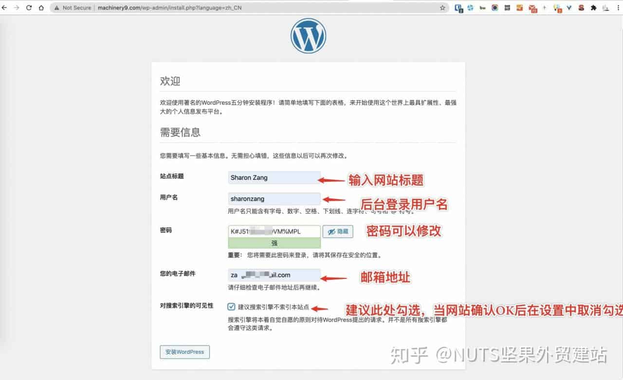 wordpress网站初始化网站设置 1 - 2021 新手建站教程-宝塔一键部署WordPress - NUTSWP