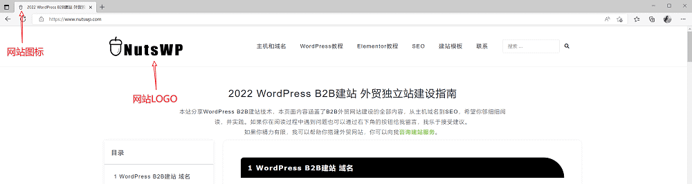 网站的LOGO和图标 1 - WordPress建站教程：0基础新手小白如何B2B外贸建站 2022最新 - NUTSWP