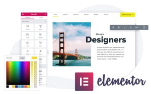 Elementor Page Builder - Hello Elementor主题教程 - NUTSWP