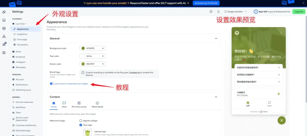 外观设置 - 添加Tidio实时聊天到WordPress网站 - NUTSWP