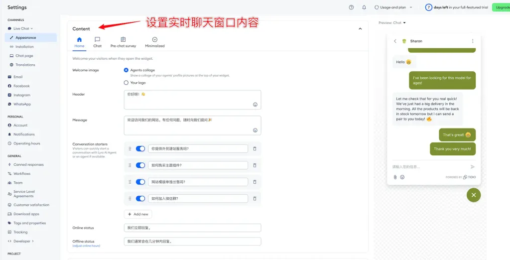 设置Tidio实时聊天窗口内容 - 添加Tidio实时聊天到WordPress网站 - NUTSWP