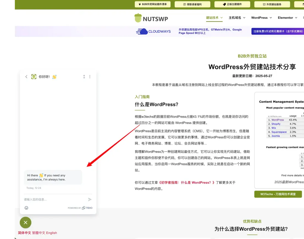 预览效果 - 添加Tidio实时聊天到WordPress网站 - NUTSWP
