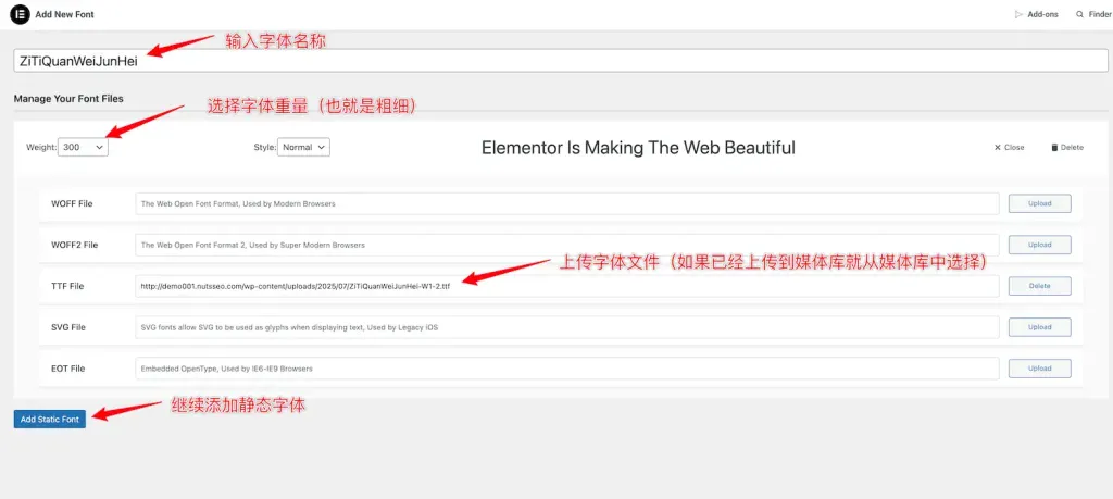 添加自定义静态字体 - Elementor自定义字体教程 - NUTSWP