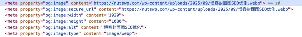 Open Graph（OG 标签） - 博客封面图SEO优化 - NUTSWP