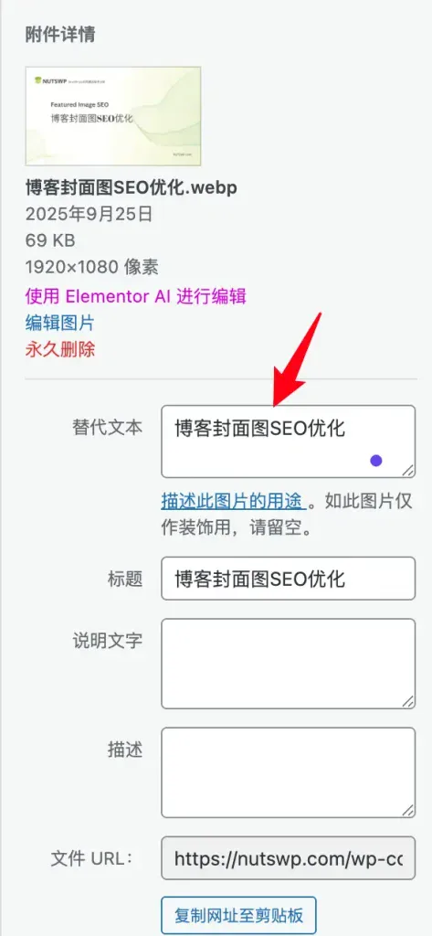 编辑代替文本Alt属性 - 博客封面图SEO优化 - NUTSWP